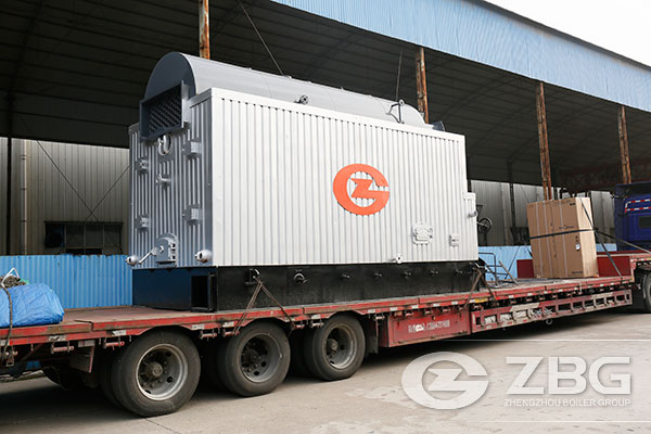 Tanzania Biomass Boiler for Feed Processing Industry