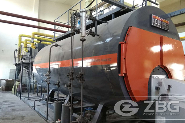 Two Sets of WNS10-1.25-YQ Were Successfully Installed