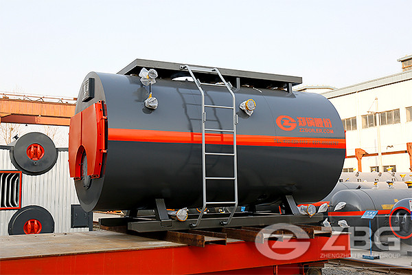 4 ton Gas Fired Boiler in Biotechnology Industry