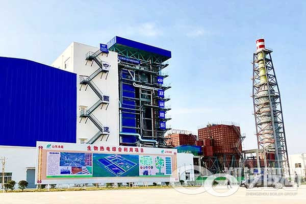 65 T/hr Mutifuel (Biomass+Coal) Fired Boiler