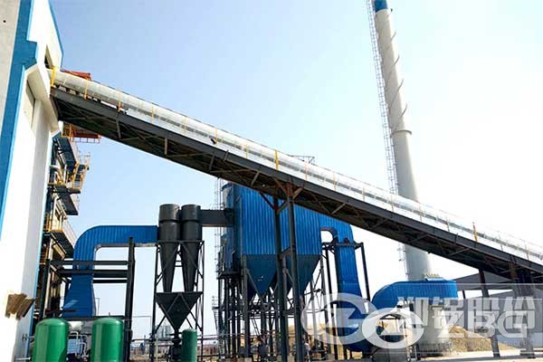 100 ton Steam Boiler in Belarusian Heating and Power Plant.jpg