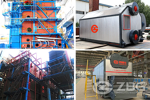 Selection of Biomass Boiler for Central Heating