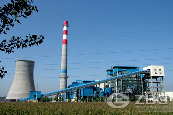 How Does Biomass Power Plant Work