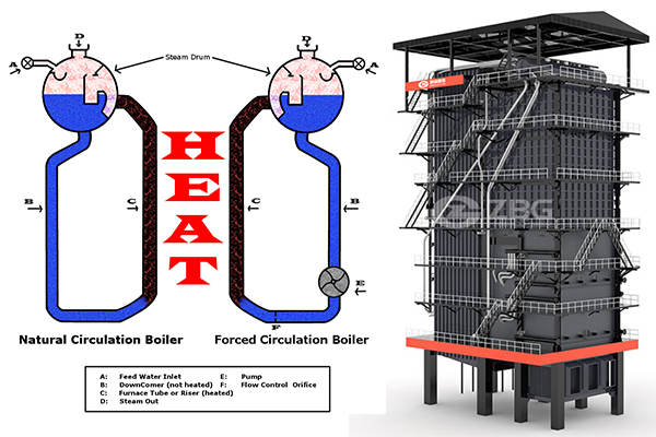Natural Circulation Boiler and Forced Circulation Boiler