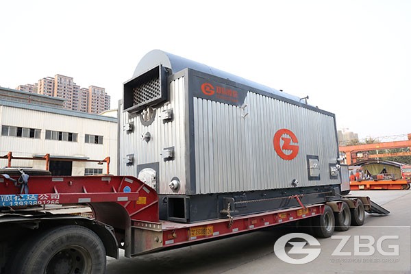 20-ton chain steam boiler