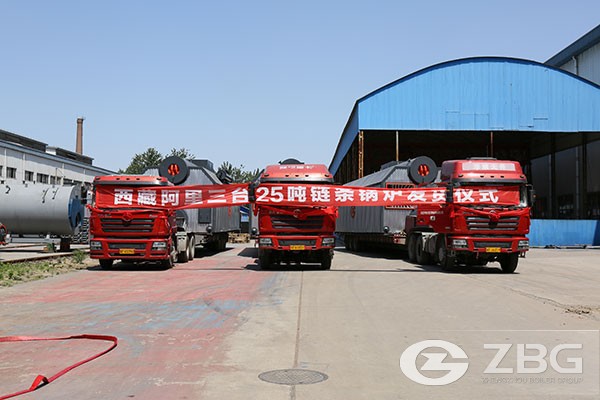 25 tons chain grate steam boiler