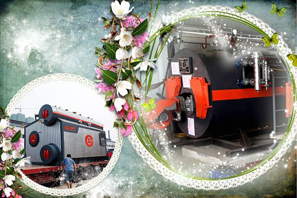gas-fired-steam-boiler