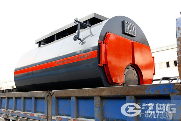 10 Ton Capacity Steam Boiler.jpg