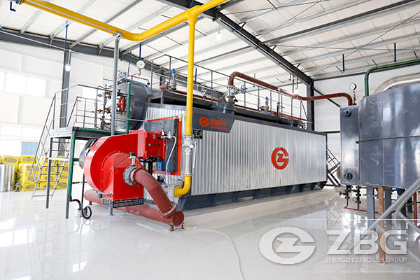 5t/h Gas Fired Hot Water Boiler Price