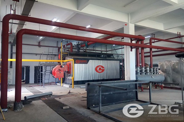 8 TPH BF Gas or HSD Steam Boiler.jpg