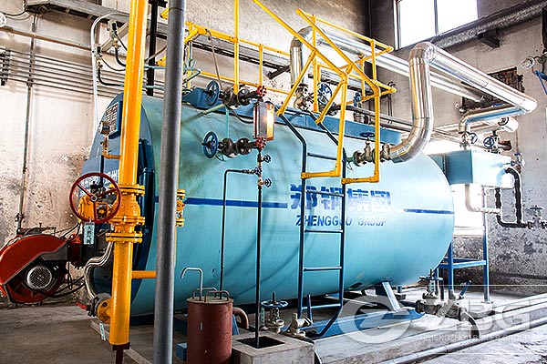 Oil Steam Boiler In Garment Facotry