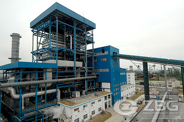 Flue Gas Waste Heat Boiler for Power Plant