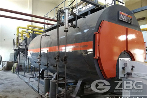 12 mt/h 10 bar steam pressure biogas boiler