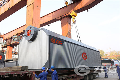 25 ton biomass chain grate boiler in Israel