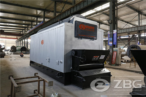 10 ton dzl series biomass steam boiler
