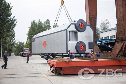 10 ton szl series biomass steam boiler