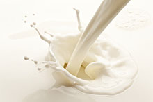 Dairy products factory
