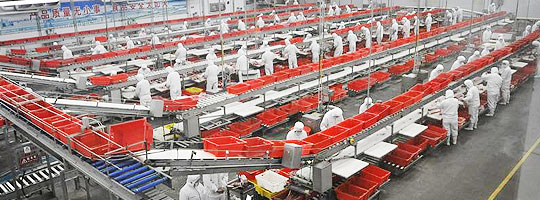 Food Industry
