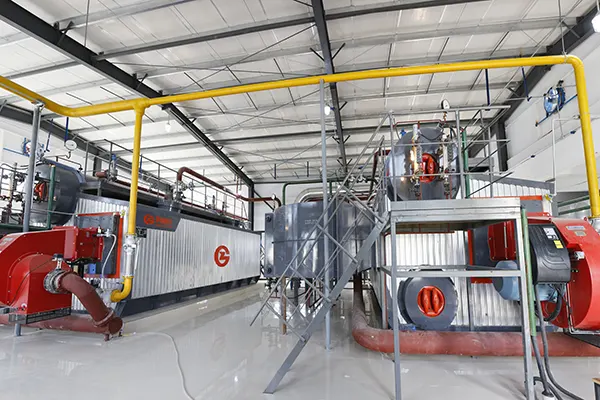 Horizontal Water Tube Steam Boiler Manufacturer