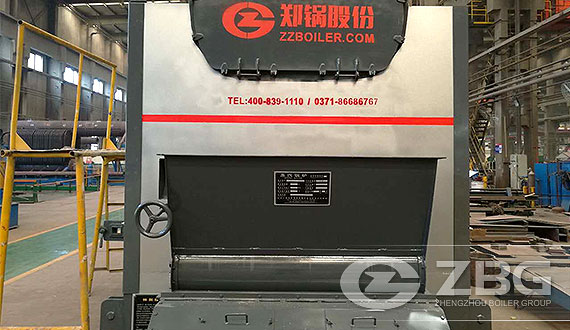 DZL Packaged Biomass Steam Boiler