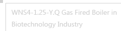 Gas-Fired-Boiler