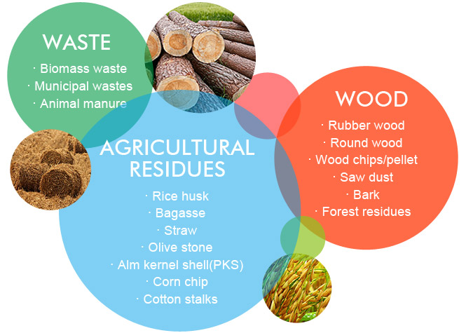 Rice husk, bagasse, staw, cotton stalks,wood chips, etc