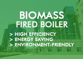 Biomass fired boiler