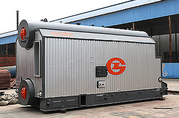 6 ton biomass steam boiler in Indonesia