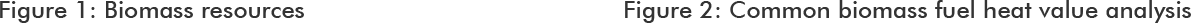 Figure 1: Biomass resources
