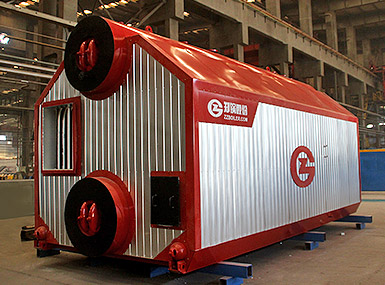 biomass hot water boiler