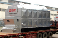 Biomass fired steam boiler case