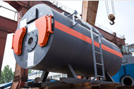 Gas steam boiler case
