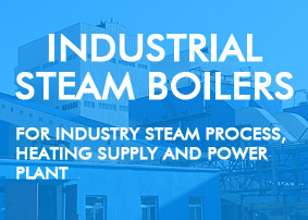 Industrial Steam Boiler