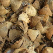 coconut shell boiler